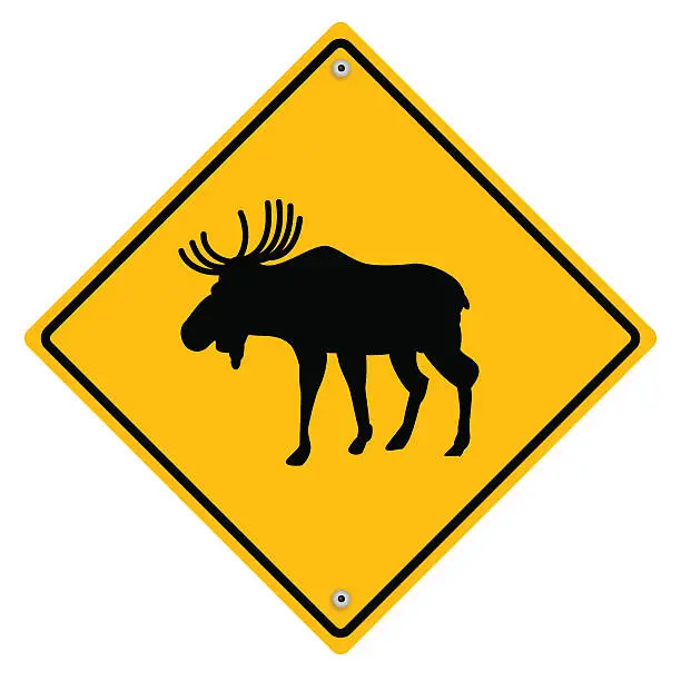 Vector illustration of Moose crossing.