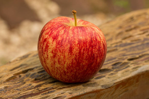 isolated fresh red  apple stock photo