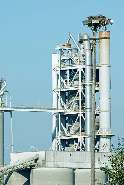 istock Osprey nest on lightpole at cement plant in Seattle WA 486286729
