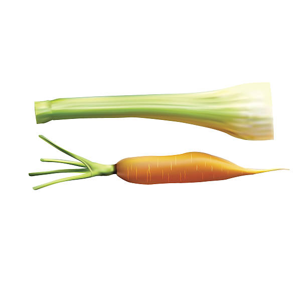 istock Sweet and freash carrots with crunchy lettuce 486287509