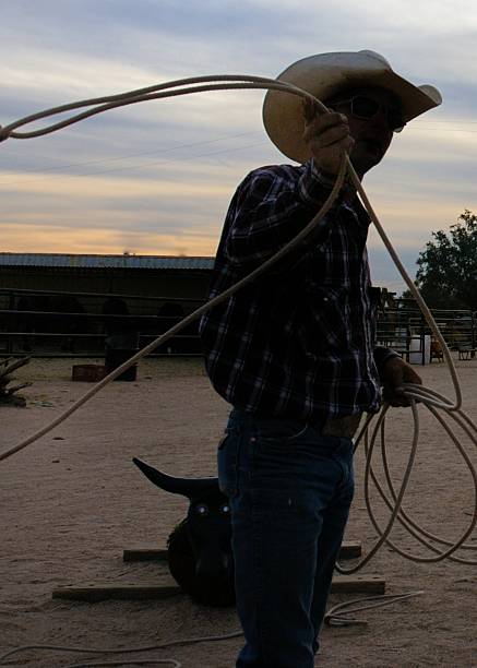 istock teacher cowboy roping sunset silhouette 486287627