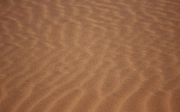 istock Namibia: Ripples in the sand - Namib Desert 486288095