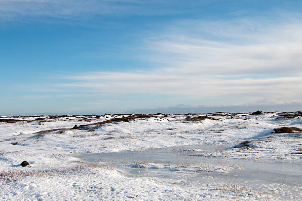 istock Golden Circle, Iceland 486288591