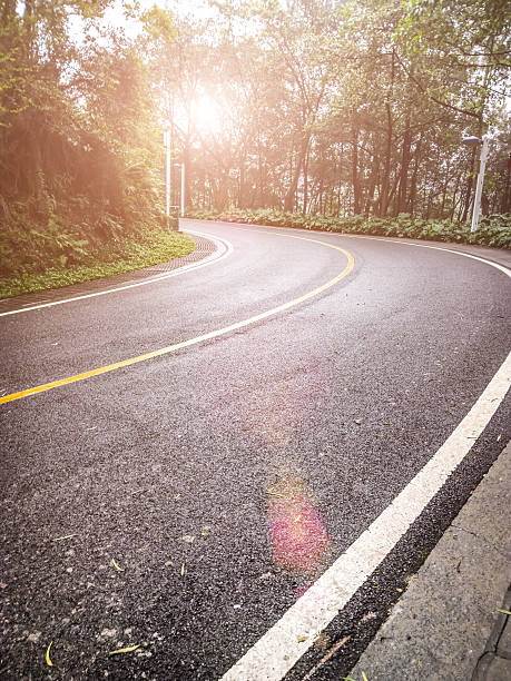 istock sun rises on curved road with trees on both sides 486290508
