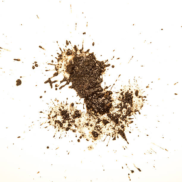 Mus Splatter 6,200+ Mud Splatter Stock Photos, Pictures & Royalty-Free Images - iStock