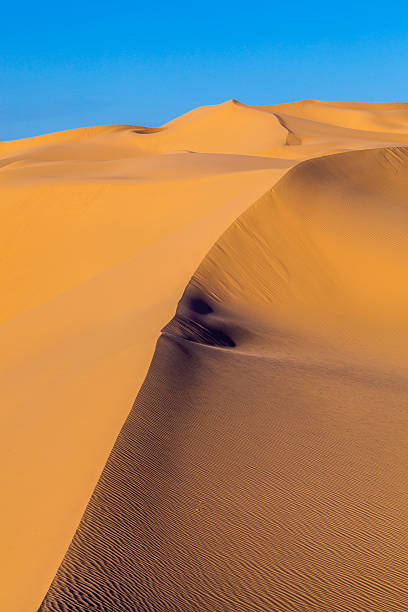 istock sand dune in sunrise in the desert 486291641