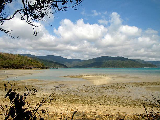 istock View on Long Island, Queensland, Australia 486291706