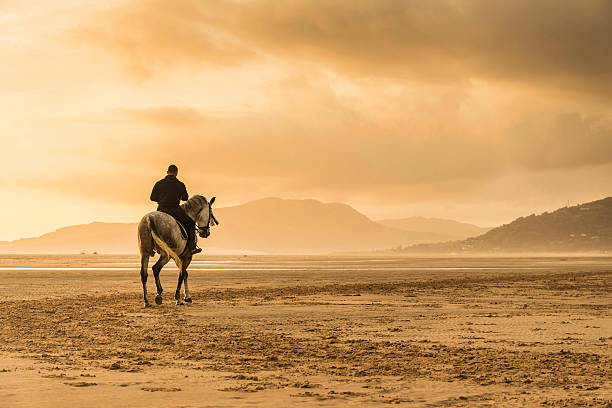 Man riding white horse landscape color picture of a man riding a white andalusian horse along the beach at sunset in tarifa spain tarifa stock pictures, royalty-free photos & images