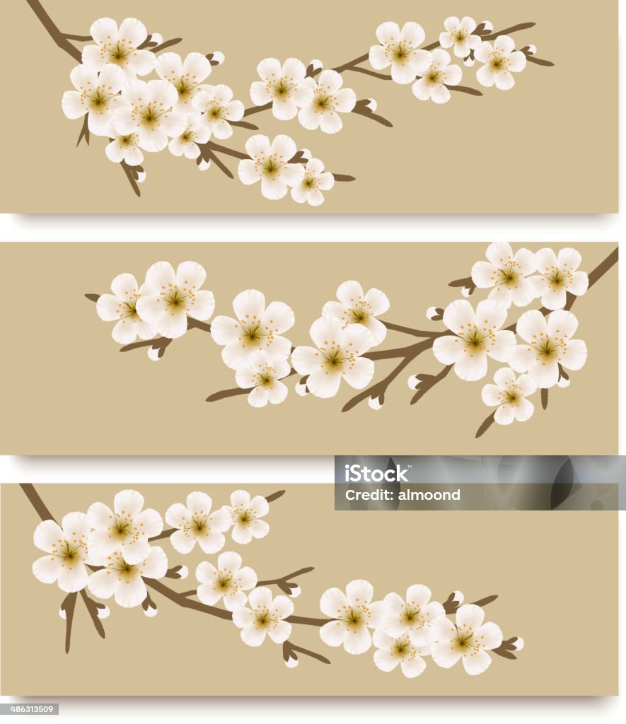 Tres flores banners de derivación.  Vector. - arte vectorial de Abril libre de derechos