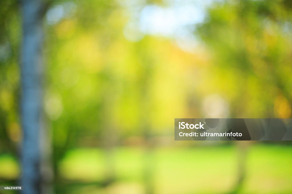 Defocused autumn background  Beautiful nature     Fall forest  and meadow wallpaper Defocused autumn background, Beautiful nature. Fall forest  and meadow wallpaper background. The grain and texture added. Soft Focus Stock Photo