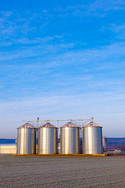 istock field in harvest with silo 486315335