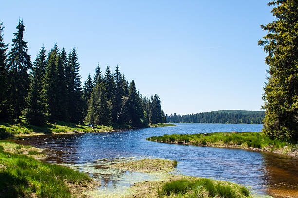 istock Path of the black nisa river 486319480