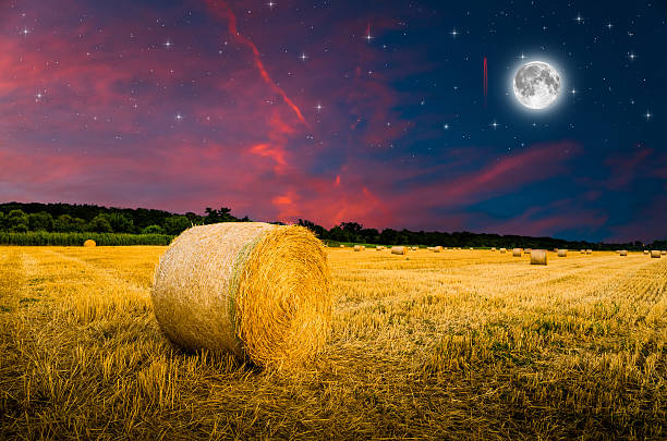 istock hay bales in the night. 486323948