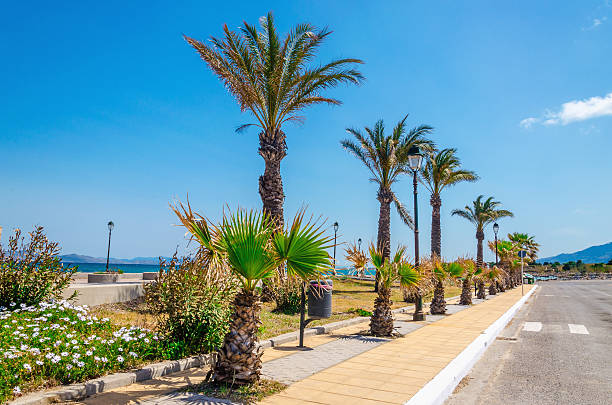 istock Exotic view on palm coast, Greek island 486324558