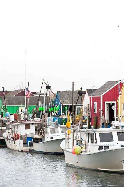 Lobster boats tied to a pier in Portland, Maine.
