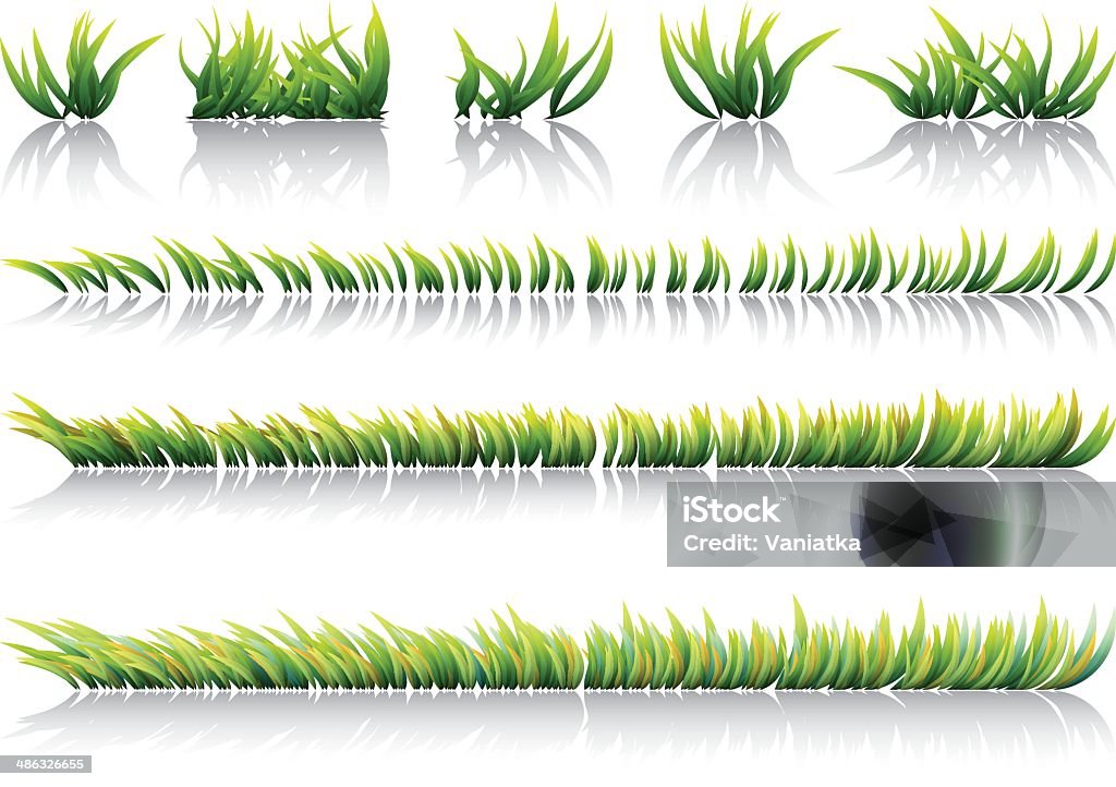 grass green grass on white background Agricultural Field stock vector