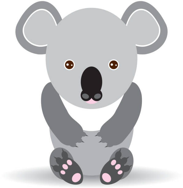 ilustraciones, imágenes clip art, dibujos animados e iconos de stock de osito de peluche de historieta koala sobre un fondo blanco.  vector - stuffed animal toy koala australia
