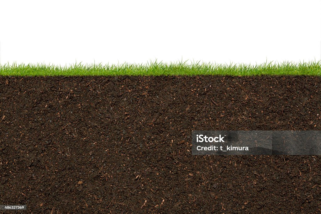 Grass Grass and soil. Dirt Stock Photo