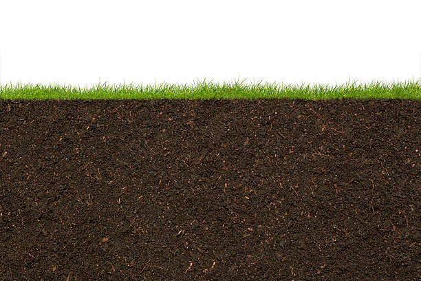 Grass Grass and soil. cross section stock pictures, royalty-free photos & images