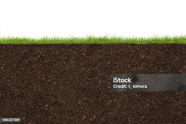 Grass Stock Photo - Download Image Now - Dirt, Cross Section, Grass