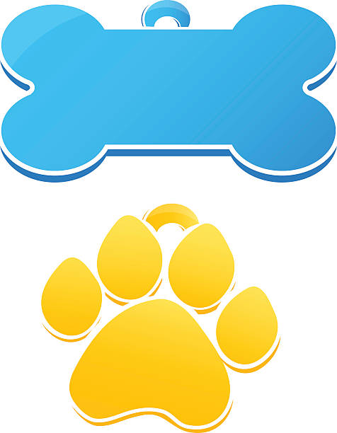 Cartoon Dog Tags Stock Illustration - Download Image Now - Name Tag, Dog,  Pets - iStock