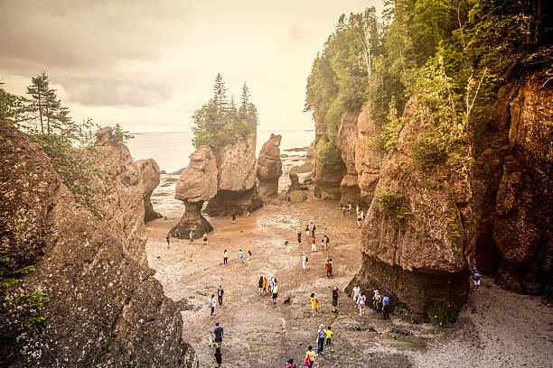 Hopewell Rocks In Hopewell Cape, New Brunswick Canada, people walking on the Atlantic ocean floor at low tide. Hopewell Rocks, also known as Flowerpots, are rock formation seen at low tide. When the tide is high, they simply go back to being low islands. new brunswick canada photos stock pictures, royalty-free photos & images