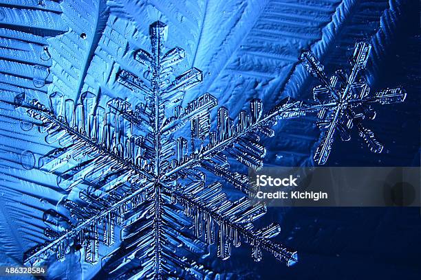 Copo De Nieve Fondo Azul Cristal Foto de stock y más banco de imágenes de Abstracto - Abstracto, Alaska - Estado de los EE. UU., Azul