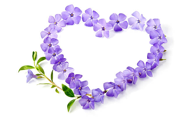 istock Blue flowers in a shape of a heart 486329823