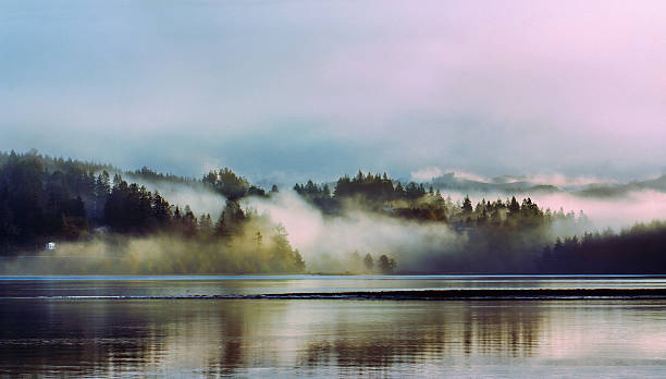 istock Foggy Sunrise on a lake, Highway 1 486330332