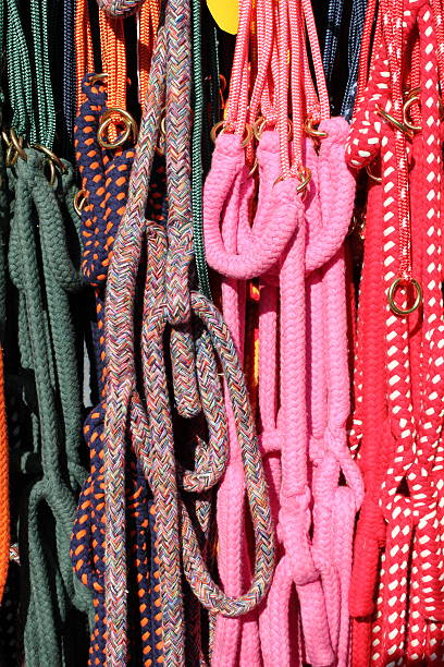 Colorful horse reins