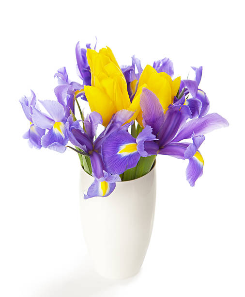 istock Irises and tulips in the white vase 486332795
