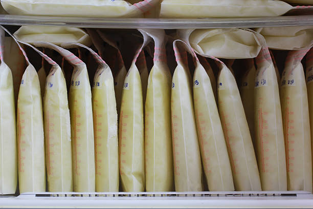 breast milk storage bags for new baby in refrigerator breast milk storage bags for new baby in refrigerator breast milk stock pictures, royalty-free photos & images