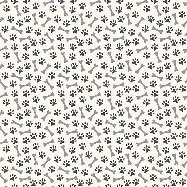 짐승 연속무늬/paw 점유공간 및 뼈다귀 - wallpaper pattern textured effect wallpaper textured stock illustrations