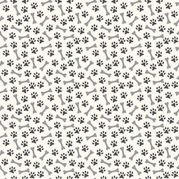 Animal seamless pattern of paw footprint and bone Animal seamless pattern of paw footprint and bone. Endless texture can be used for printing onto fabric, web page background and paper or invitation. Dog style. White and black colors. dog house photos stock illustrations