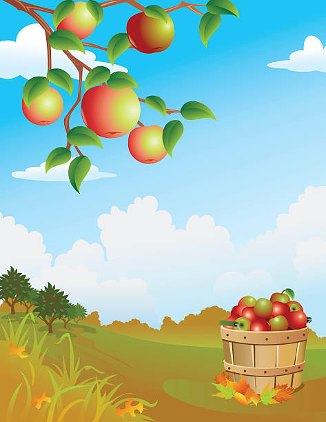 Apple Harvest vector art illustration