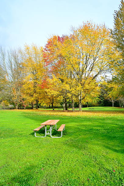 istock Picnic Table on the grass in fall color trees. 486342680