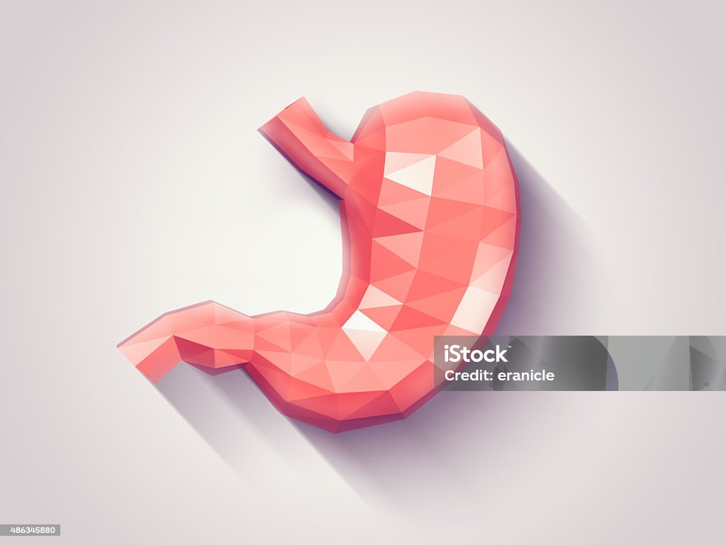 Stomach faceted Illustration of human stomach with faceted low-poly geometry effect Abdomen Stock Photo