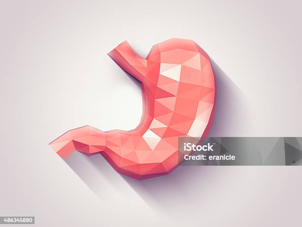 Stomach Faceted Stock Photo - Download Image Now - Abdomen, Three Dimensional, Stomach