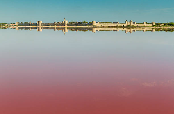 istock Panoramic view of Aigues-Mortes from salt flats 486353228