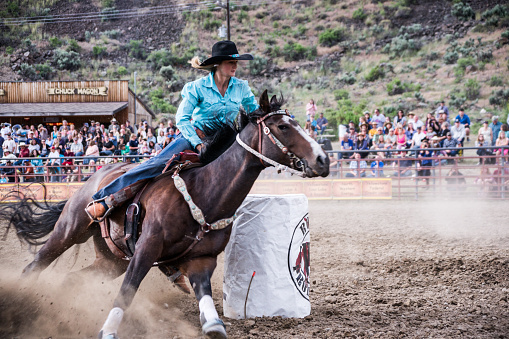 Gardiner, MT, USA - June 20, 2015: A cowgirl guides her Quarter horse around a barrel in the barrel racing event at the annual Gardiner, Montana rodeo.
