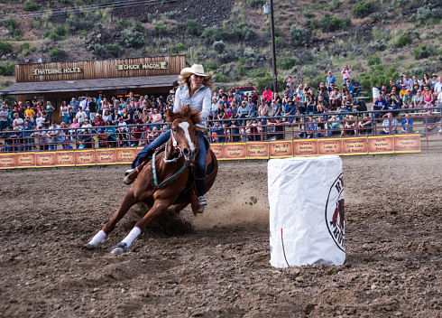 Gardiner, MT, USA - June 20, 2015: A cowgirl guides her Quarter horse in a tight turn around a barrel in the barrel racing event at the annual Gardiner, Montana rodeo.