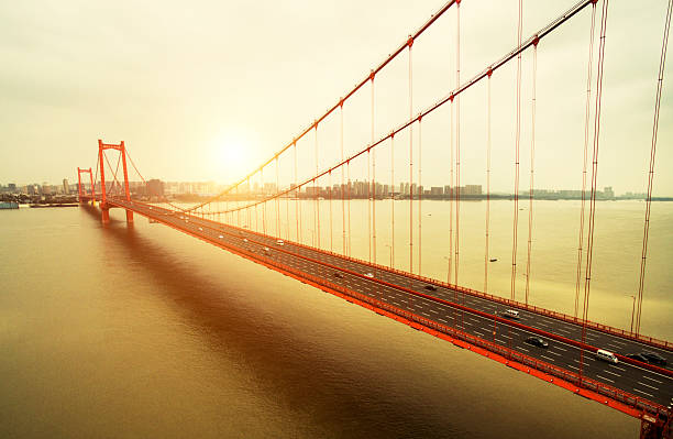 istock Parrot island Yangtze River Bridge in wuhan china 486354208
