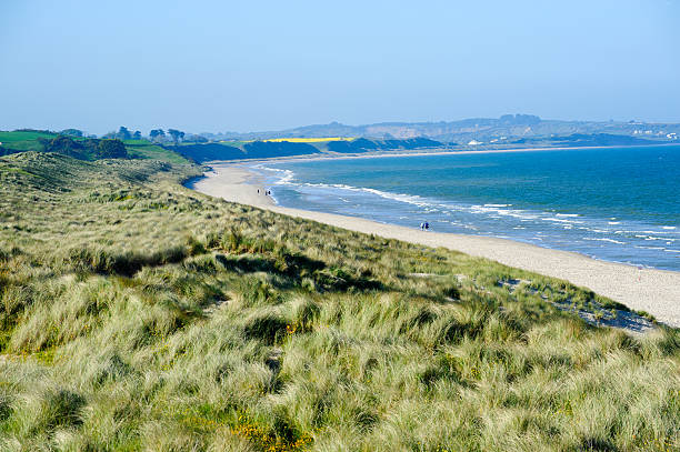 Oreti Beach Dunes, near Invercargill, New Zealand
