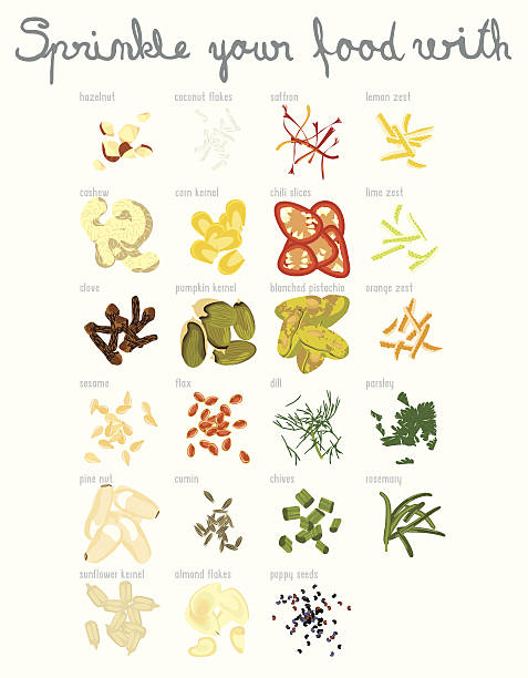 Set of 23 Spices and Nuts vector art illustration