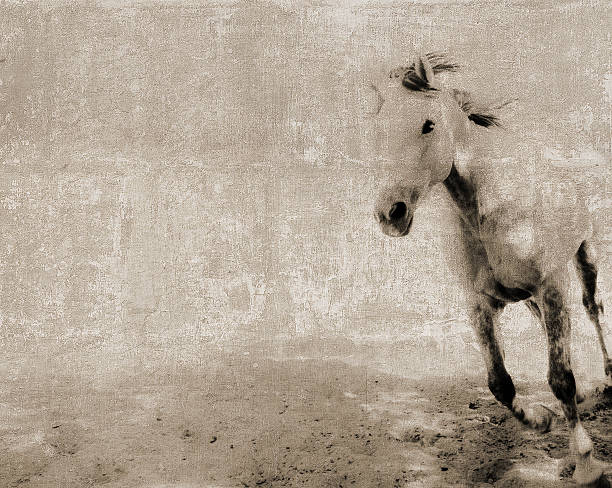 istock Vintage postcard with a running horse 486355959