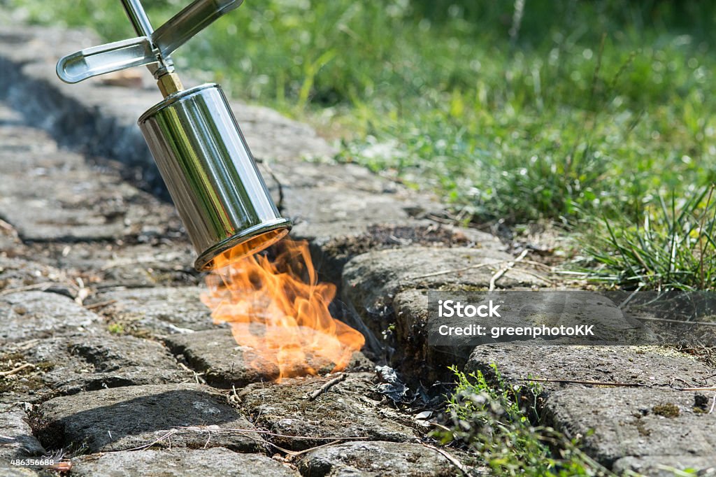 Weed control with fire Weeding Stock Photo