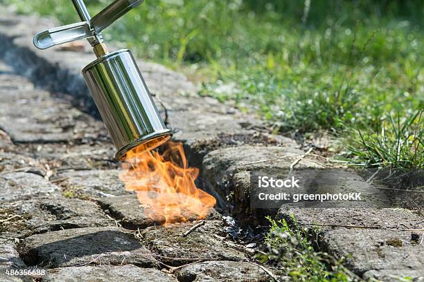 Weed Control With Fire Stock Photo - Download Image Now - Weeding, Burning, Yard - Grounds