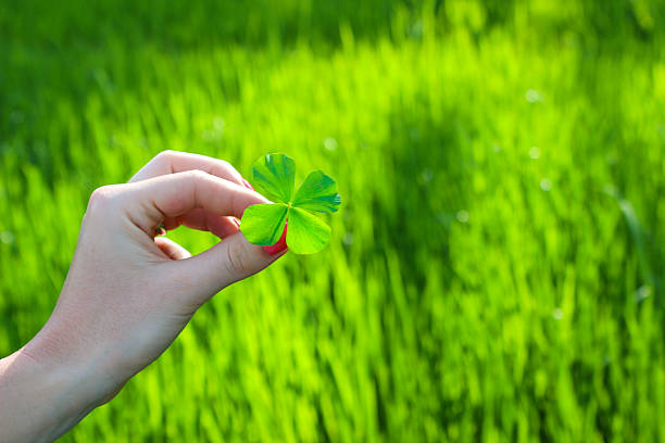 istock Woman holidng a four leaf clover 486356848