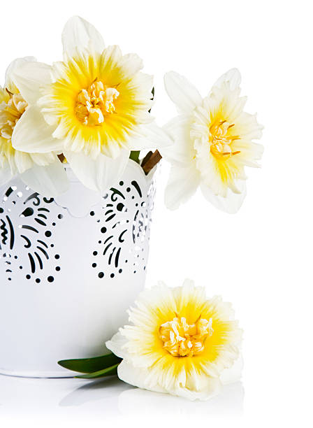 istock Yellow spring flowers in bucket 486357059