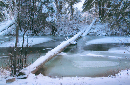 Blodgett creek congelado photo